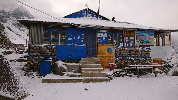 雪中