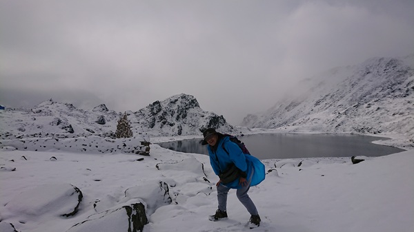 雪中